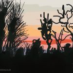 Danny Mooney 'Sunset, Oxon Hoath 8-3-2014' Digital painting