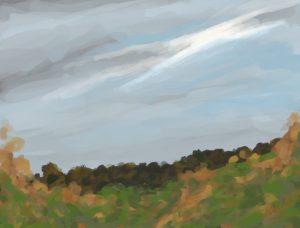 Danny Mooney 'Autumn colours, 15/11/2016' iPad painting #APAD