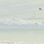 Danny Mooney 'Gulls, 10/11/16' iPad painting #APAD