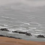 Danny Mooney 'Rocks, beach and mist, 21/12/16' iPad painting #APAD